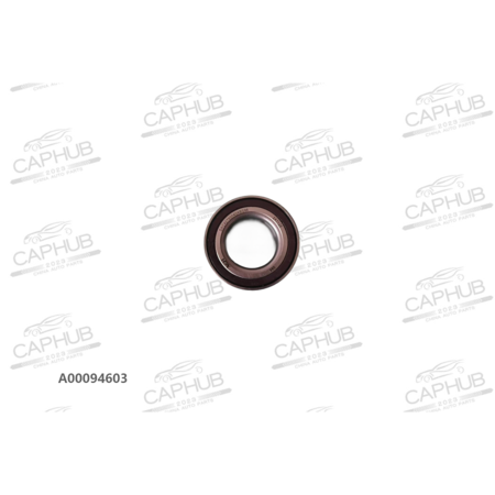 Ступичнычй подшипник A00094603  U5 PLUS дубликат