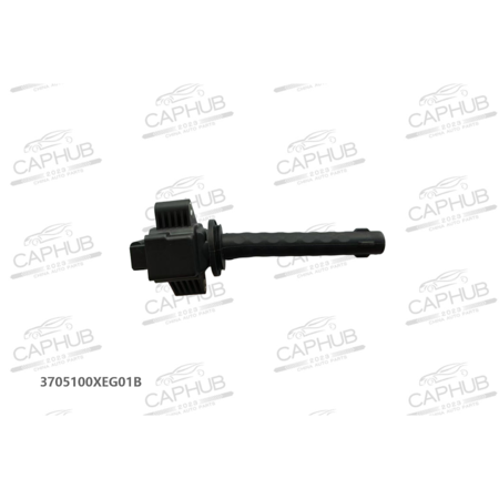 Катушка зажигания HAVAL JOLION  Оригинал